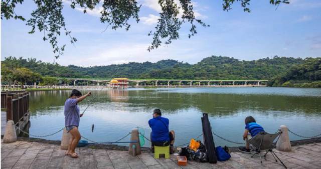 公園驚見「活魚丟廚餘桶」！　釣客揭真相：是在清除外來種